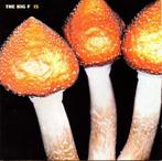 cd - The Big F - Is, Verzenden, Zo goed als nieuw