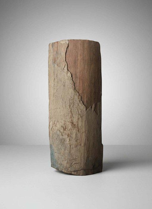 Tand van de wolharige mammoet met blauwe, Verzamelen, Mineralen en Fossielen