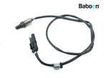 Lambda Sonde BMW K 1600 GT 2010-2016 (K1600GT K48) (7724705), Motoren, Onderdelen | BMW, Verzenden, Gebruikt