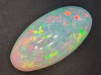 Opaal - 8.49 ct - Antwerp Laboratory for Gemstone Testing, Nieuw