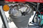 Ducati - Scrambler - 350 cc - 1972