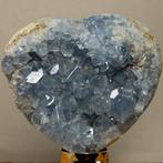 celestine Blue Celstine Geode Heart Cluster - Hoogte: 13.6, Verzamelen, Mineralen en Fossielen