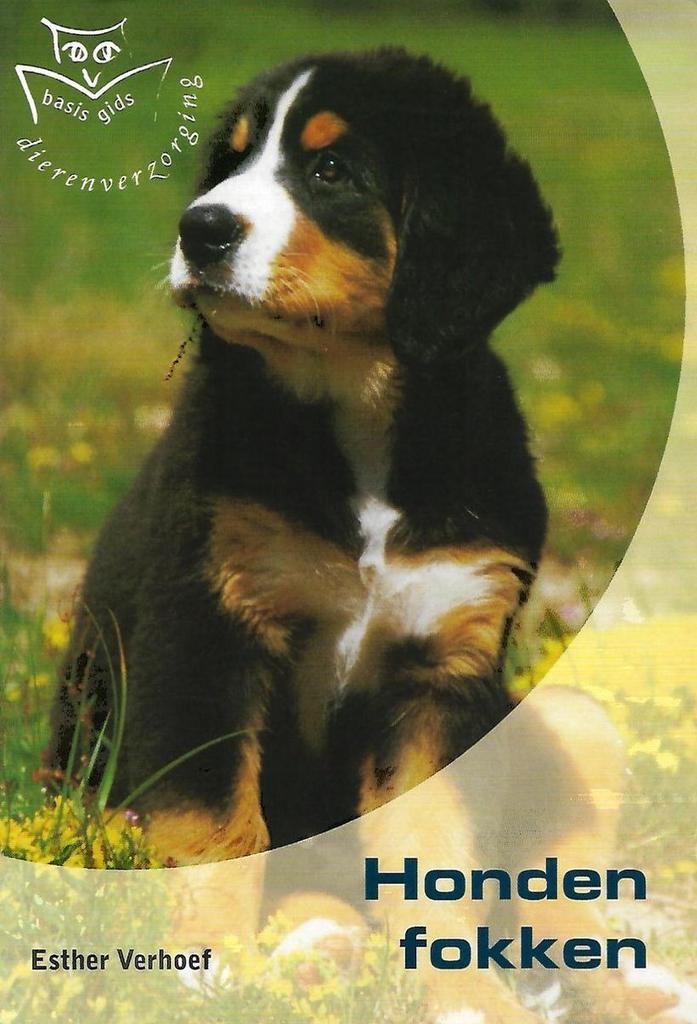 Honden fokken 9789058410580 Esther Verhoef, Boeken, Hobby en Vrije tijd, Gelezen, Verzenden