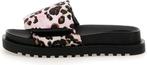 Guess - Maat 40 - Fabetzy Dames Slippers - Leopard, Verzenden, Nieuw