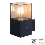 Buitenlamp met sensor Cuzco | Schemersensor | Lantaarn, Verzenden, Minder dan 50 watt, Wandlamp, Nieuw