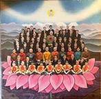 LP gebruikt - George Harrison - Dark Horse, Verzenden, Zo goed als nieuw