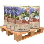 Hortensia potgrond pallet | 1050 L | Pokon (Bio-label), Tuin en Terras, Verzenden