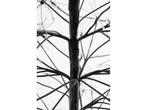 Luca Lighting Lichtboom Buiten - H180 x Ø80 cm - Metaal -, Verzenden, Nieuw
