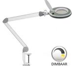 Loeplamp 127mm lens 5 dioptrie LED   DIMBAAR, Nieuw, Loeplamp, Verzenden