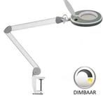 Loeplamp 127mm lens 5 dioptrie LED   DIMBAAR, Hobby en Vrije tijd, Verzenden, Nieuw, Loeplamp