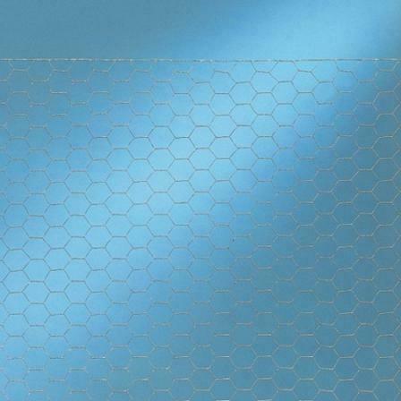 Betafence Hexanet Verzinkt 50cm 25m (25x0.80mm), Tuin en Terras, Gaas en Draad, Nieuw, Ophalen of Verzenden