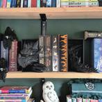 Black Dragon Head and Tail Book Nook & DnD DM Screen - 2-in-, Verzenden, Nieuw