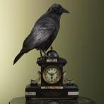 Raaf op Klok Taxidermie Opgezette Dieren By Max, Verzamelen, Dierenverzamelingen, Ophalen of Verzenden, Nieuw, Vogel, Opgezet dier