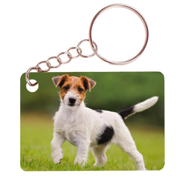 Sleutelhanger 6x4cm - Jack Russel Terrier Hond Staand NIEUW, Verzamelen, Sleutelhangers, Nieuw, Ophalen of Verzenden