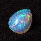 Zonder Minimumprijs Wit Opaal - 4.94 ct - nternational, Nieuw