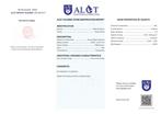 Geen reserveprijs - ALGT-gecertificeerd - Exclusieve