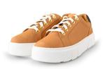 Timberland Sneakers in maat 38,5 Cognac | 10% extra korting, Kleding | Dames, Schoenen, Overige kleuren, Verzenden, Nieuw, Sneakers of Gympen