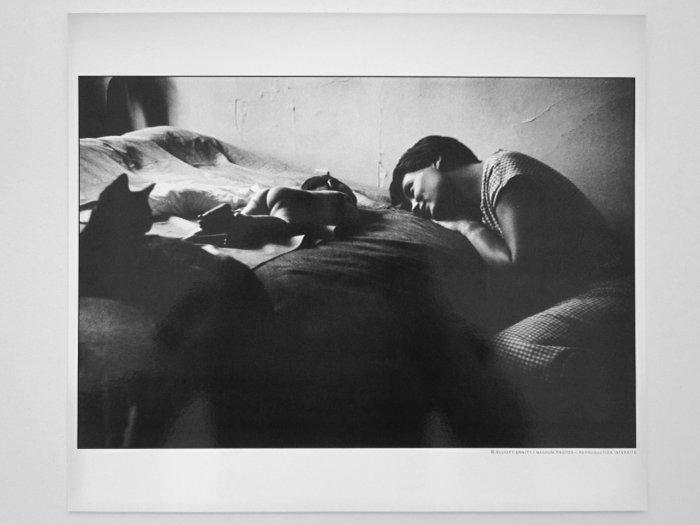 Elliott Erwitt (1928–2018) - Mother and Child, New York,, Antiek en Kunst, Kunst | Designobjecten