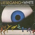 cd - Liesegang - Visual Surveillance Of Extremities, Cd's en Dvd's, Verzenden, Zo goed als nieuw