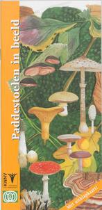 Paddestoelen in beeld / In beeld / 3 9789050111386 F. Bos, Verzenden, Gelezen, F. Bos