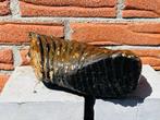Wolharige mammoet - Fossiele kies - Mammuthus primigenius -