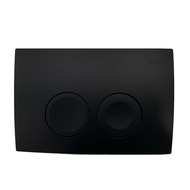 Drukplaat Geberit Delta 21 Frontbediening Mat Zwart, Doe-het-zelf en Verbouw, Sanitair, Ophalen of Verzenden