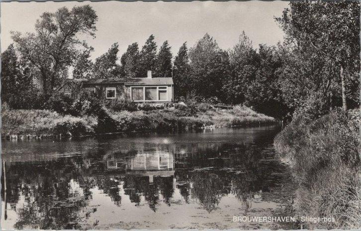 BROUWERSHAVEN - Slingerbos, Verzamelen, Ansichtkaarten | Nederland, Verzenden