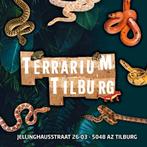 Stocklist Terrarium Tilburg