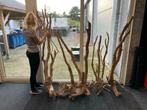 Spiderwood XXXXL afmetingen zijn tot 2m groot aquariumhout