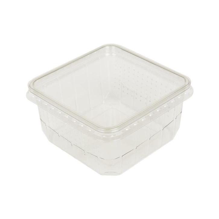 Kweekbakje, Dieren en Toebehoren, Insecten en Spinnen