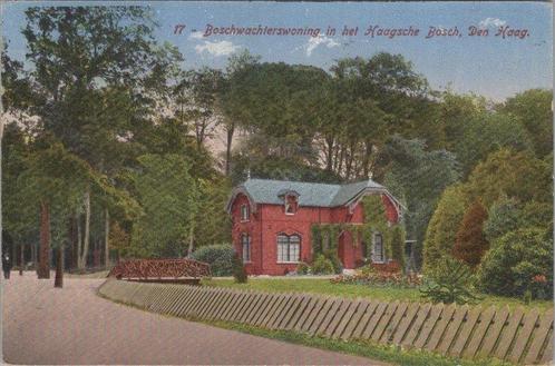 DEN HAAG - Boschwachterswoning in het Haagsche Bosch, Verzamelen, Ansichtkaarten | Nederland, Verzenden