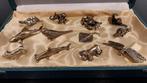 Messensteun (12) - animaux - Verguld brons, Antiek en Kunst