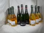 Cantine Ferrari, Marcato, 3x Ferrari Maximum Blanc De Blancs, Verzamelen, Wijnen, Nieuw