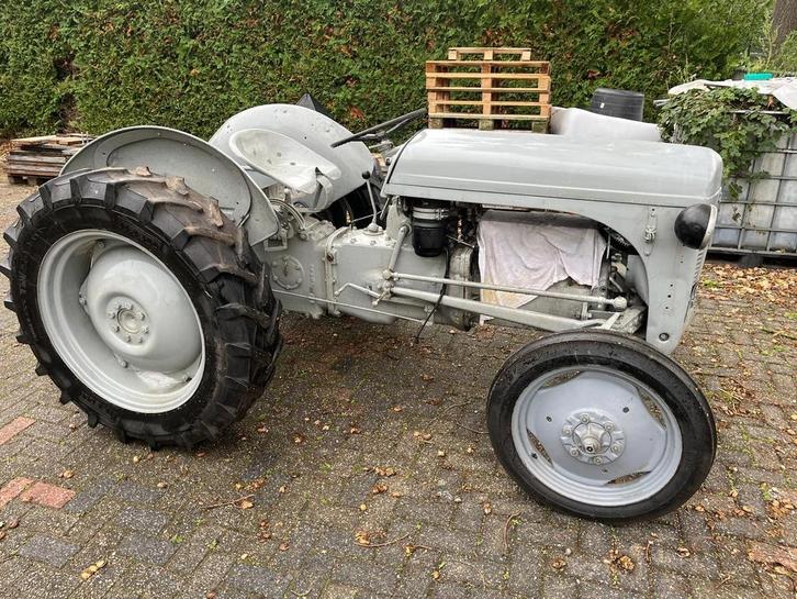 Massey Ferguson TEF20 - Defecte motor - Restauratie, Zakelijke goederen, Agrarisch | Tractoren, Nieuw, Massey Ferguson