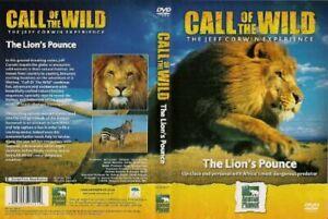Call Of The Wild: The Lions Pounce DVD, Cd's en Dvd's, Dvd's | Overige Dvd's, Zo goed als nieuw, Verzenden