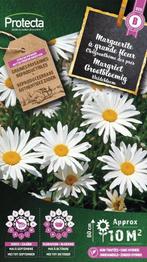 Protecta Bloemen zaden: Margriet Grootbloemig | Leucanthemum, Tuin en Terras, Bloembollen en Zaden, Ophalen of Verzenden