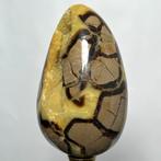 Septaria Wild Yellow Crystals Fine Large Wild Septaria
