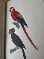 Buffon-Cuvier - Oeuvres complètes: Volumes 6 et 7 les, Antiek en Kunst