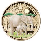 Italië 5 Euro Afrikaanse Olifant 2023, Verzenden