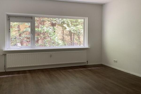 Studio Robijnstraat in Apeldoorn, Huizen en Kamers, Kamers te huur, 20 tot 35 m², Overige regio's