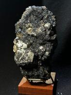 PIRITE Dorata op zeer rijke EMATITE lamellair. Kristal op, Verzamelen, Mineralen en Fossielen