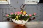 Oasis® Styropor Piepschuim Isimo Ei Deelbaar 21 cm, Ophalen of Verzenden, Nieuw