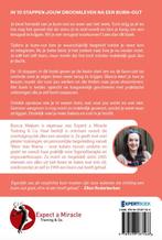 In 10 stappen jouw droomleven na een burn-out / In 10, Boeken, Verzenden, Zo goed als nieuw, Bianca Meijsen