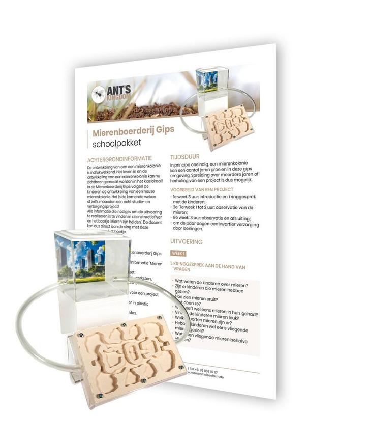 Mierenboerderij Gips Schoolpakket, Dieren en Toebehoren, Insecten en Spinnen