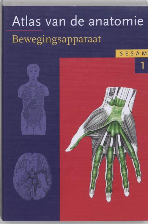 Sesam atlas van de anatomie 1 Het bewegingsapp 9789055744978, Boeken, Studieboeken en Cursussen, Zo goed als nieuw, Verzenden