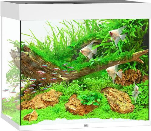 Lido 200 LED Wit, Dieren en Toebehoren, Vissen | Aquaria en Toebehoren, Nieuw, Ophalen of Verzenden