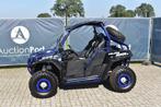 Veiling: Buggy Polaris Ranger RZR Benzine