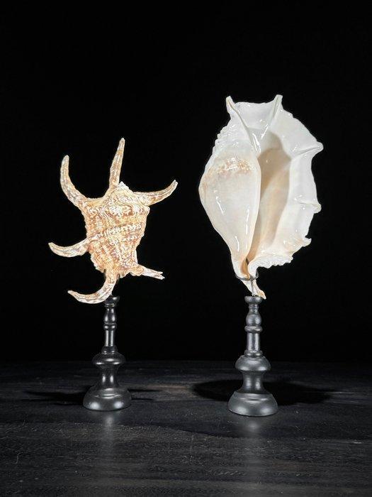 Tafelmiddenstuk (2) - Geen minimumprijs - Prachtig paar, Antiek en Kunst, Kunst | Designobjecten