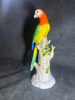 Tettau - Beeldje - Perroquet sur tronc - Porselein, Antiek en Kunst