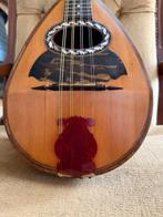 Stridente Napolitaine - - Mandoline - Italië, Nieuw